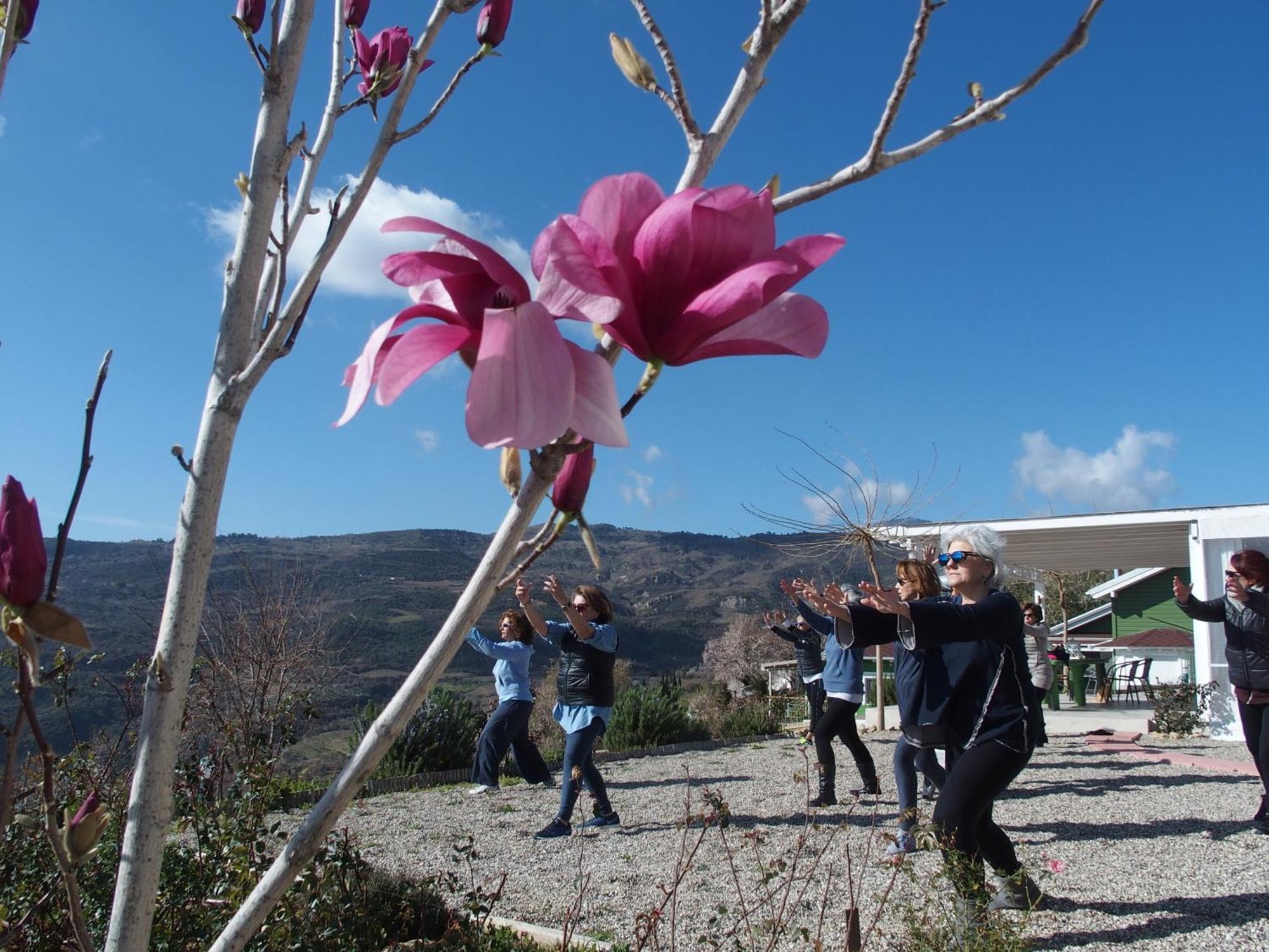 Ktima Noosfera Wellness & Retreat Center Hotel Karya Екстериор снимка