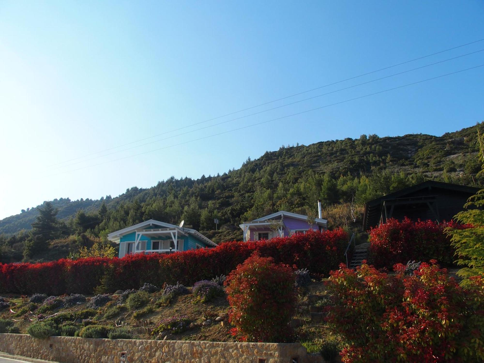 Ktima Noosfera Wellness & Retreat Center Hotel Karya Екстериор снимка